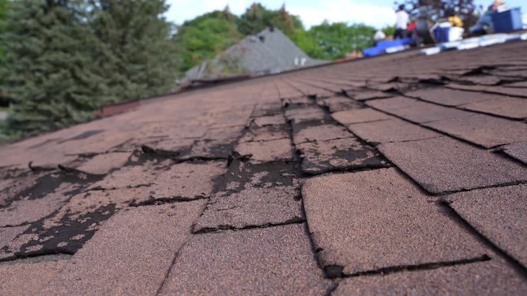 Best Commercial Roofing Services  in Lorenzo, TX