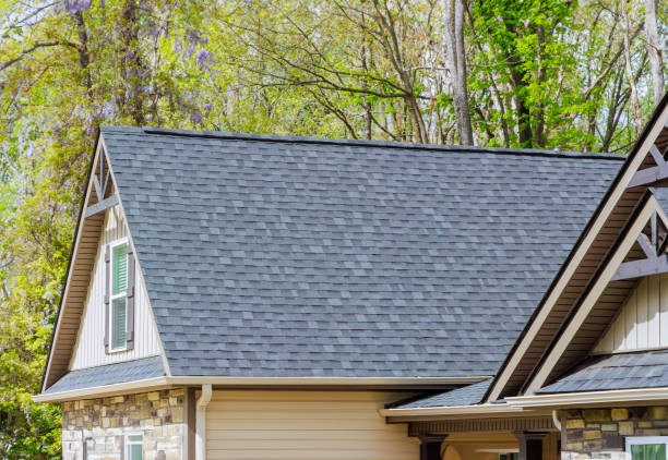 Best Gutter Replacement  in Lorenzo, TX